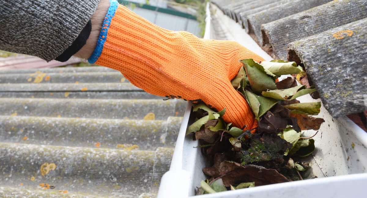 Clean the Gutters and Downspouts